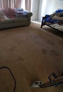 Carpet Cleaning For Hidden Hills Home