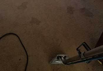 Carpet Cleaners In Hidden Hills CA