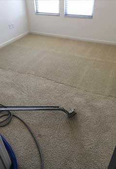Eco-friendly Carpet Cleaning Solution In Woodlend Hills