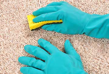 The Best Carpet Cleaning Methods | Calabasas