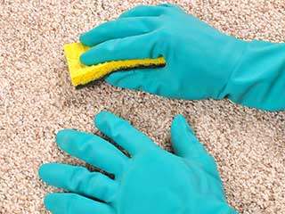 The Best Carpet Cleaning Methods | Calabasas Carpet Cleaning